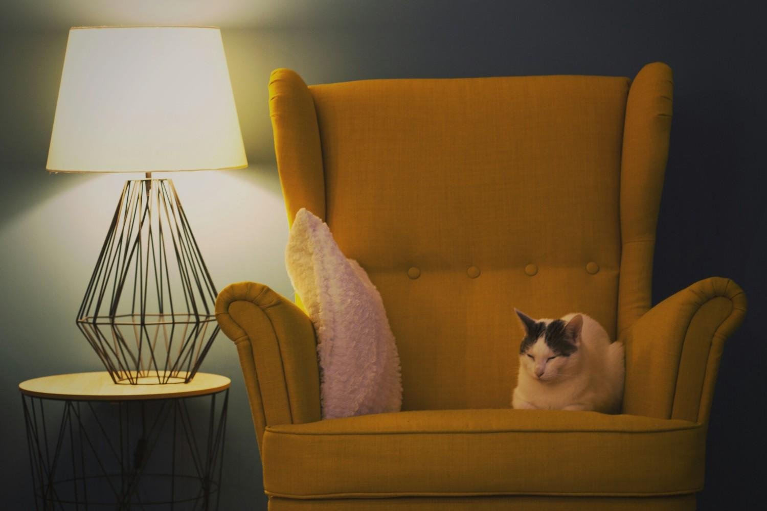 Saffron High-Back Wingback Accent Chair